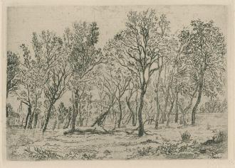 Group of Trees - 1888
