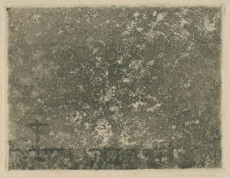 Sterrenhemel boven het kerkhof
 - 1888