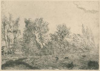 Stormwind aan de rand van het bos - 1888