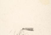 The Hands of Elisabeth Bas