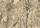 Group of trees - 1888