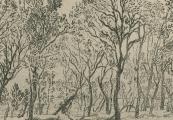 Group of Trees - 1888