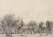 The Orchard - 1886