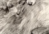 Hond