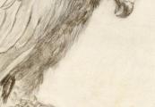 Chinoiserie, een roofvogel