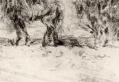 Een Zeeuws paardengespan