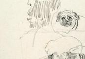 Kop en drie honden