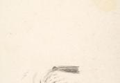 The Hands of Elisabeth Bas